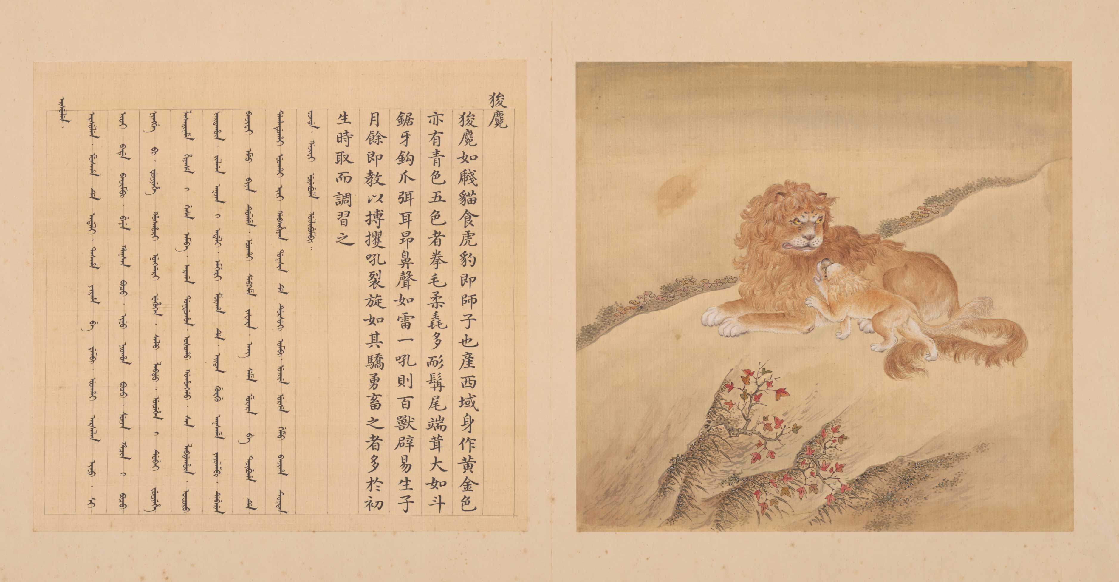 兽谱图册