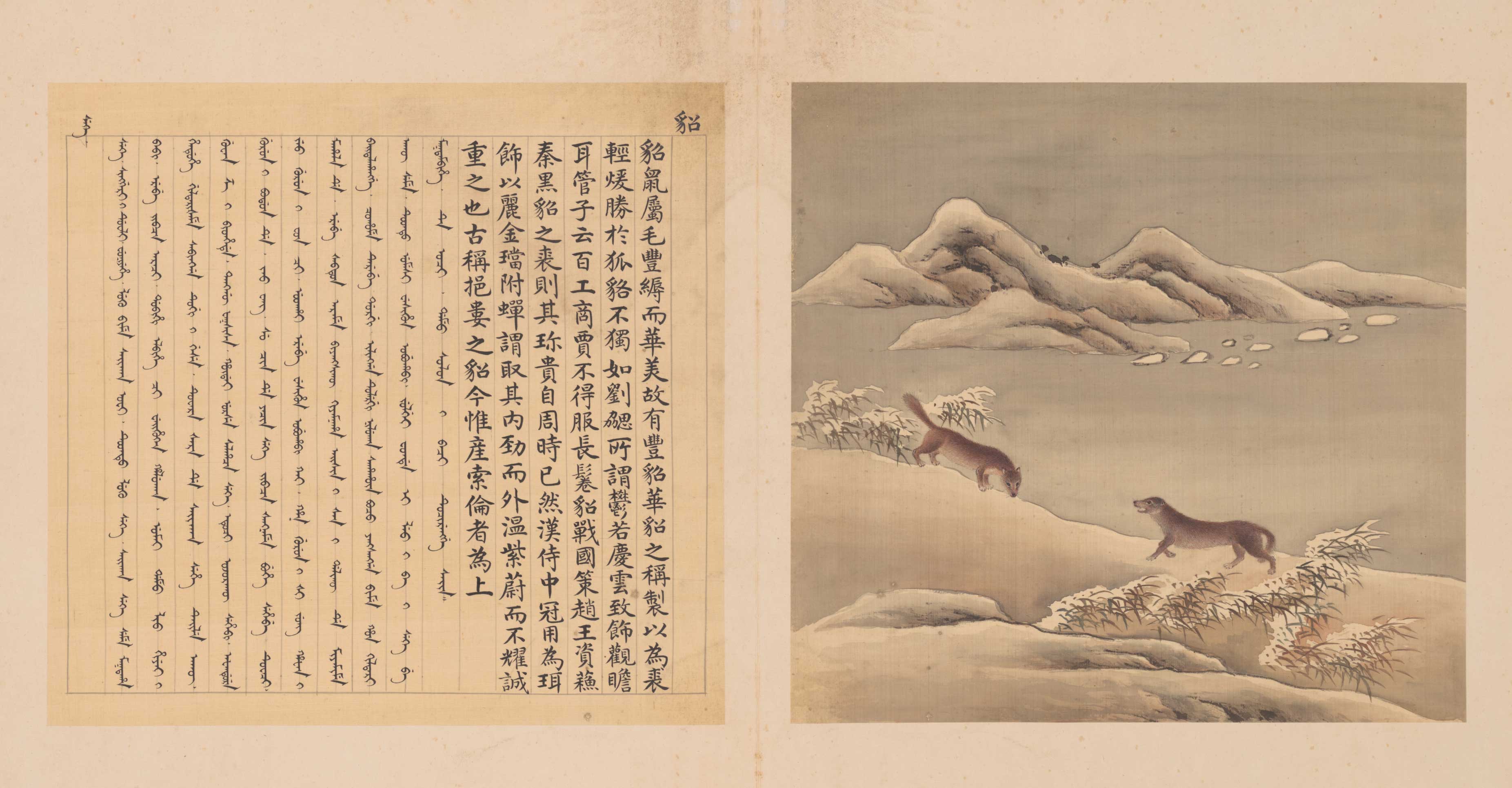 兽谱图册