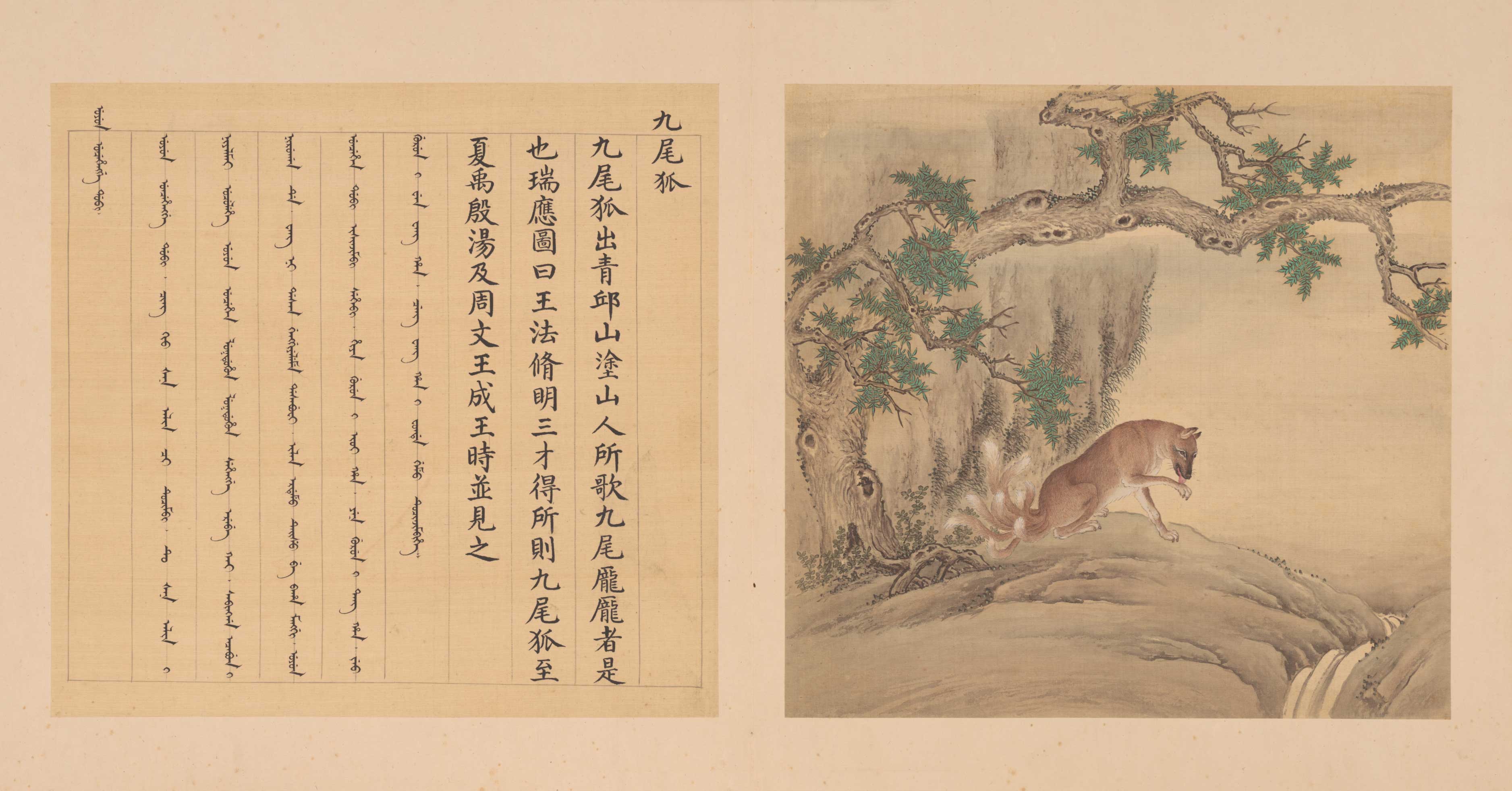 兽谱图册