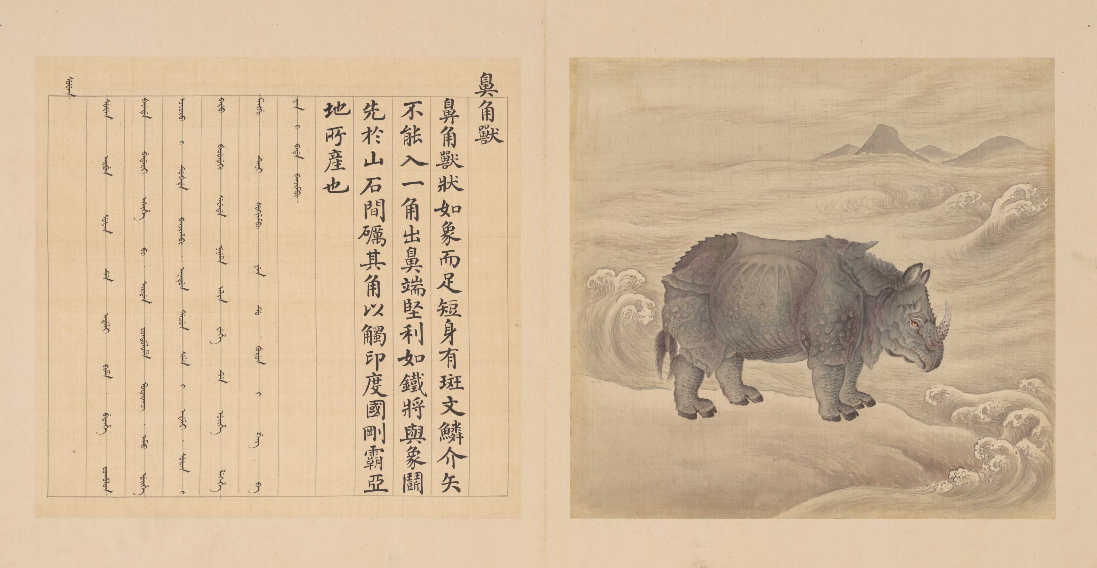 兽谱图册