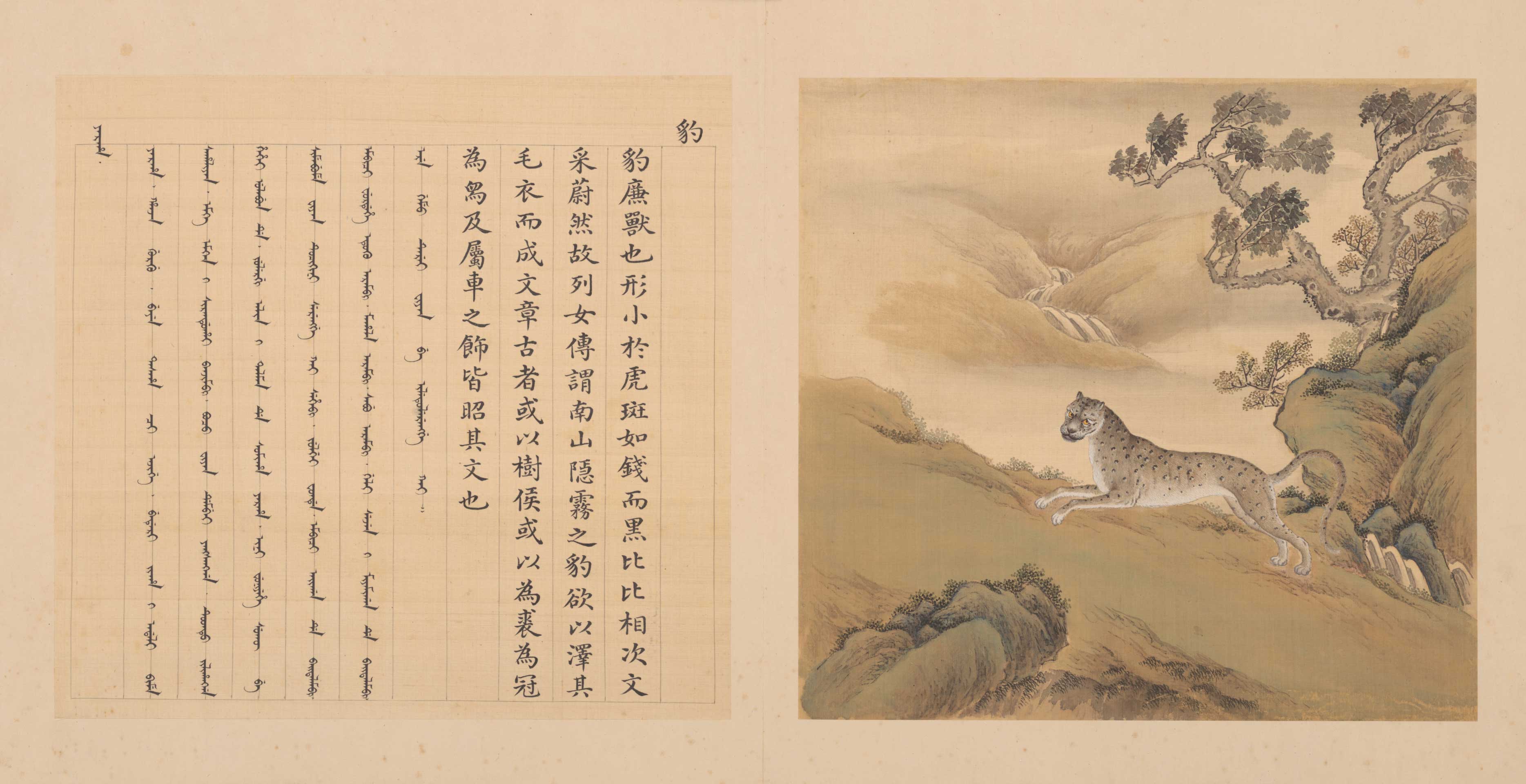 兽谱图册