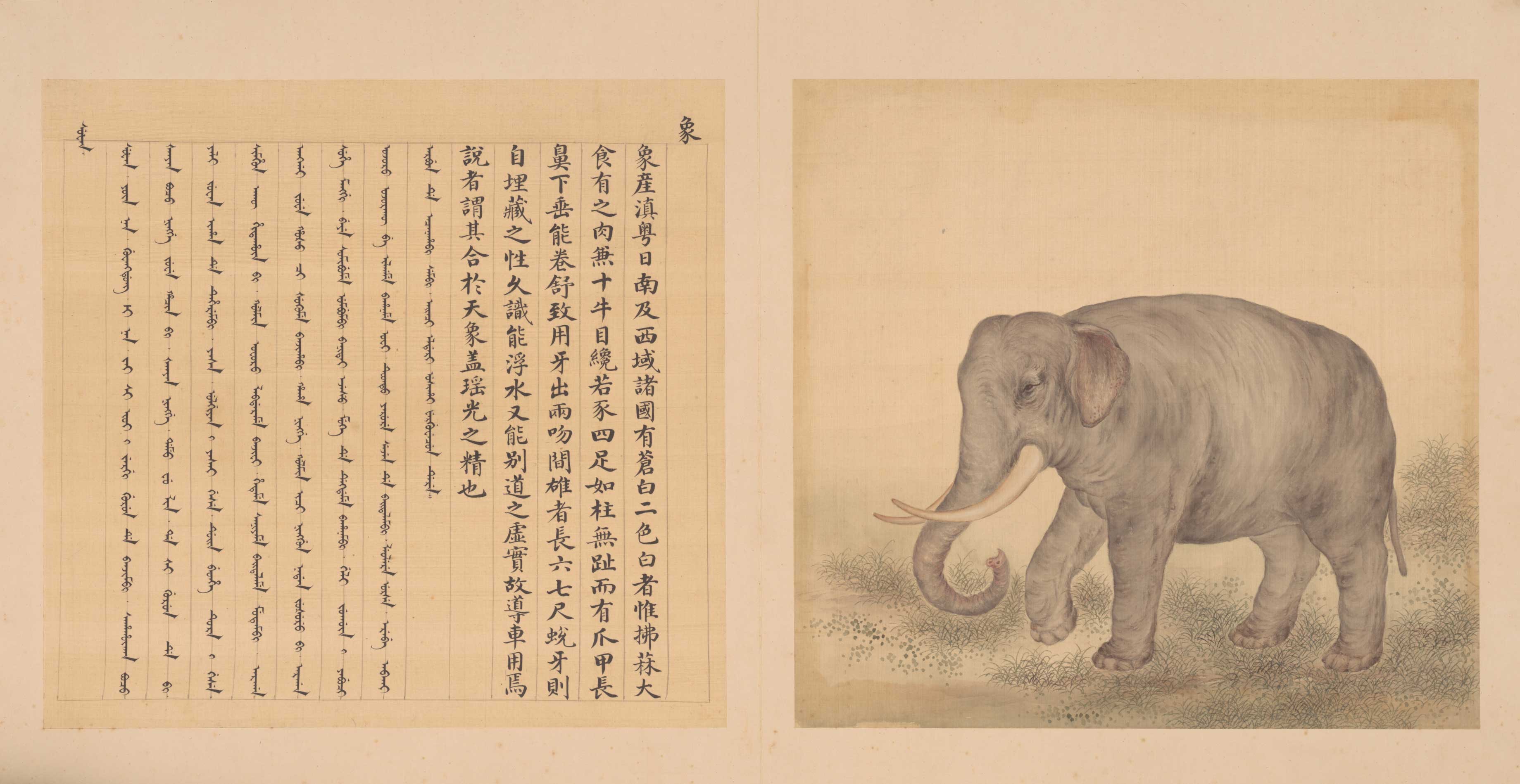 兽谱图册