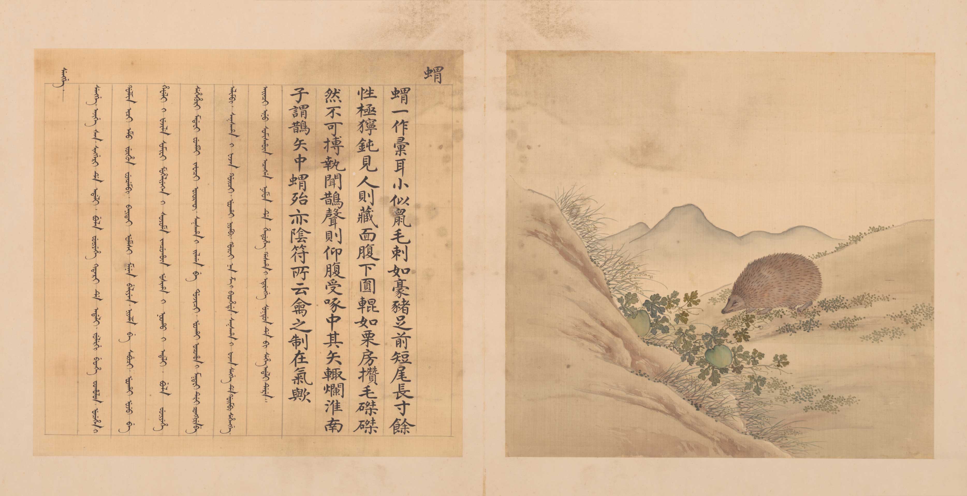 兽谱图册
