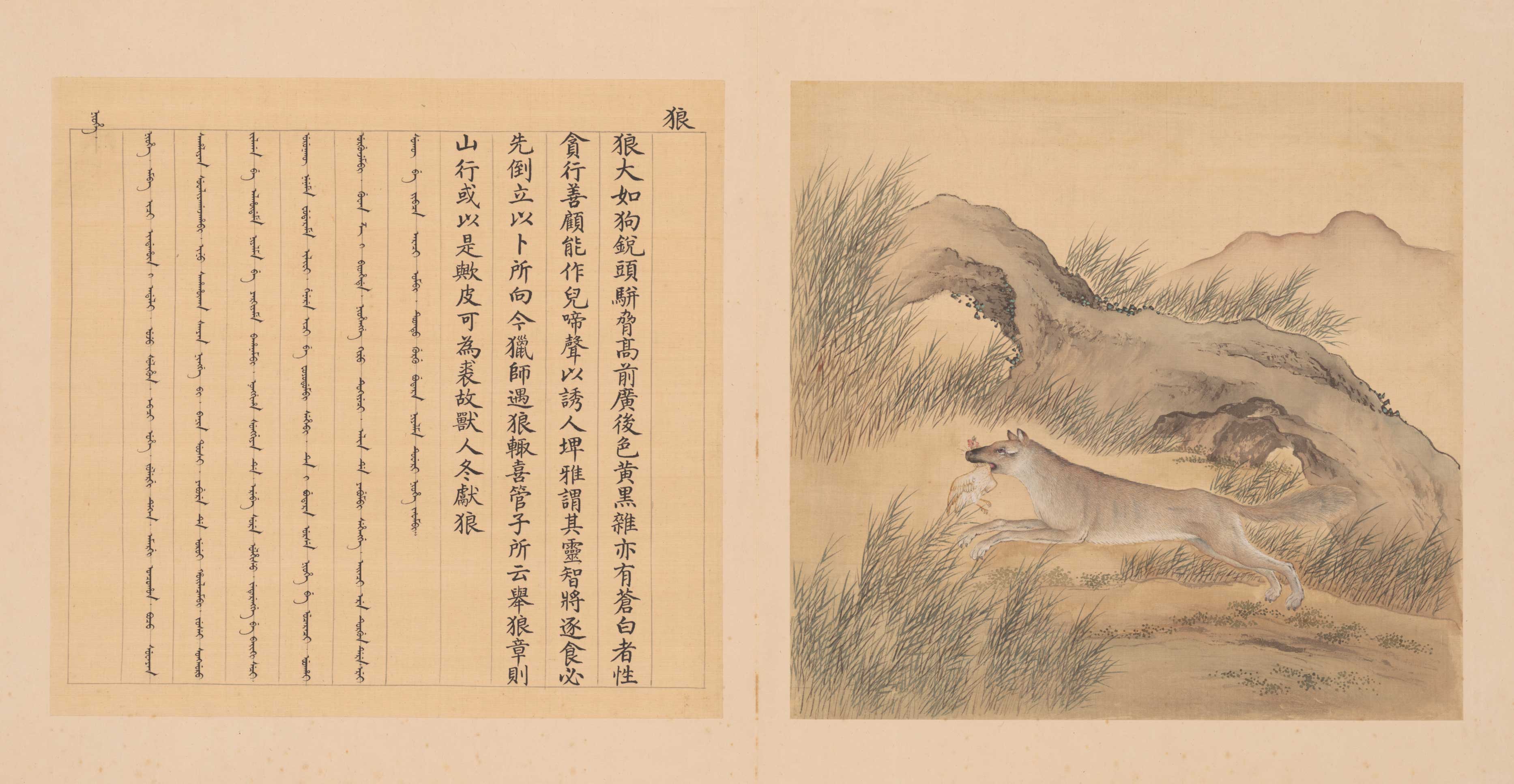 兽谱图册