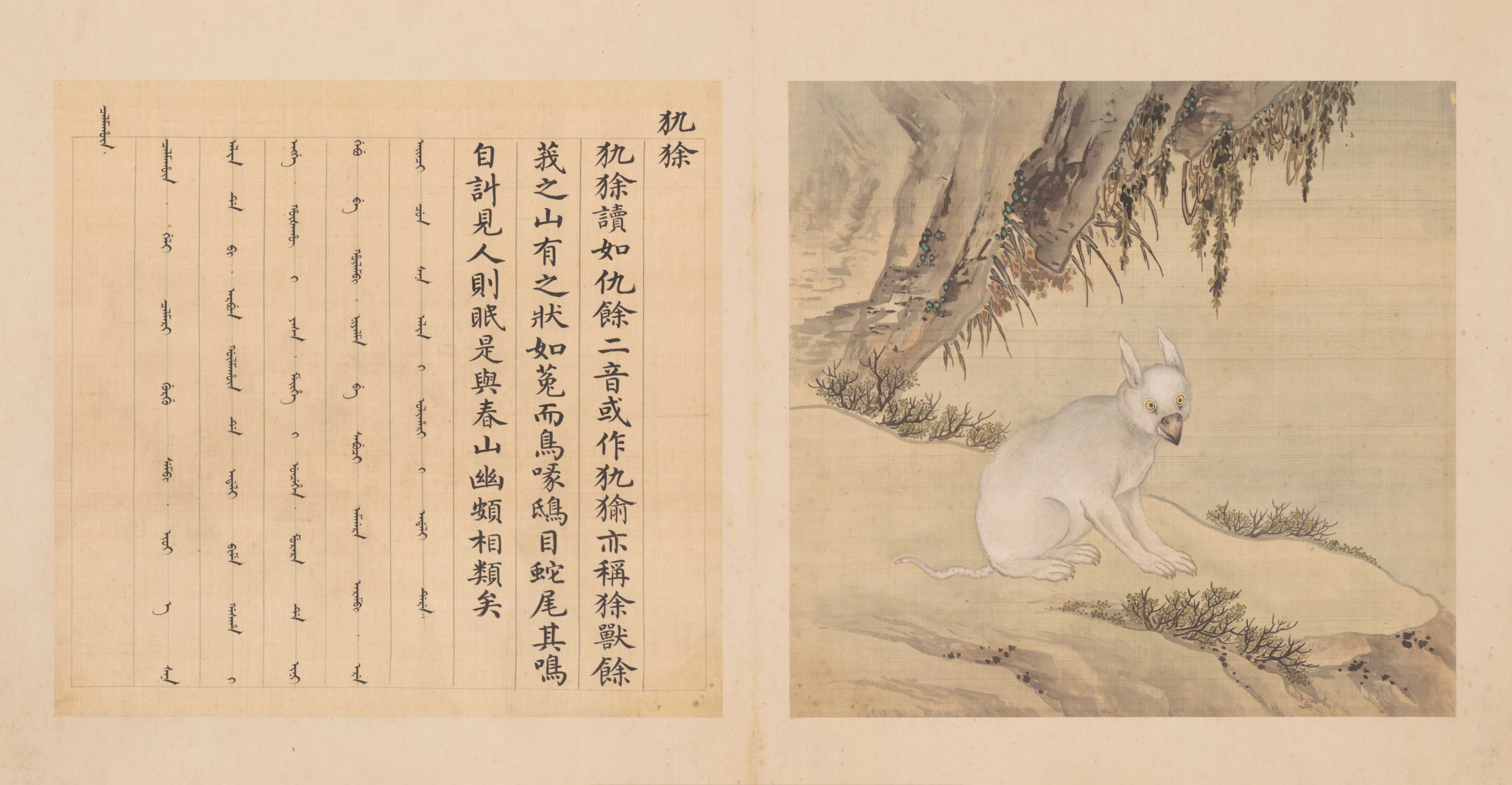 兽谱图册