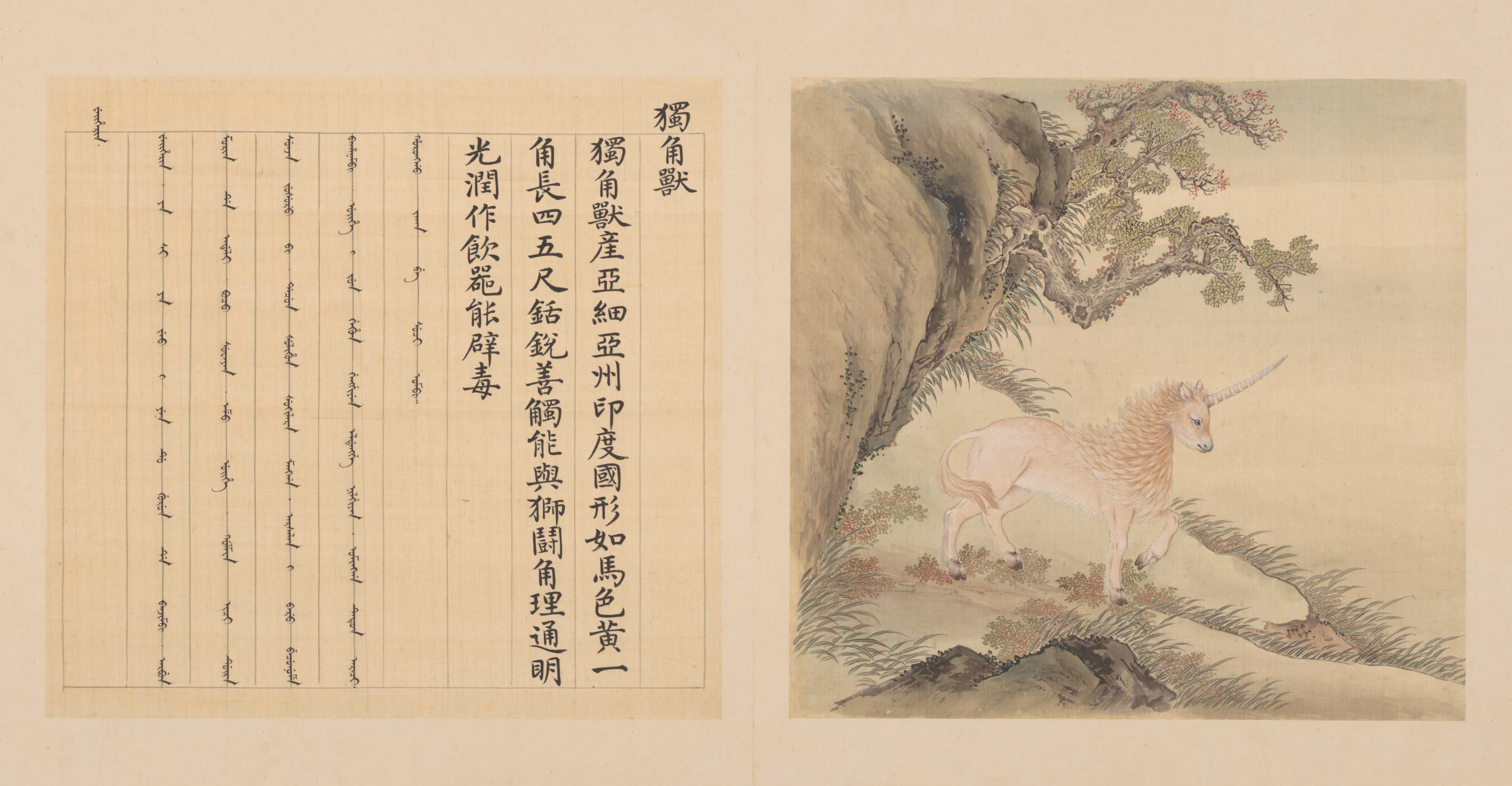 兽谱图册
