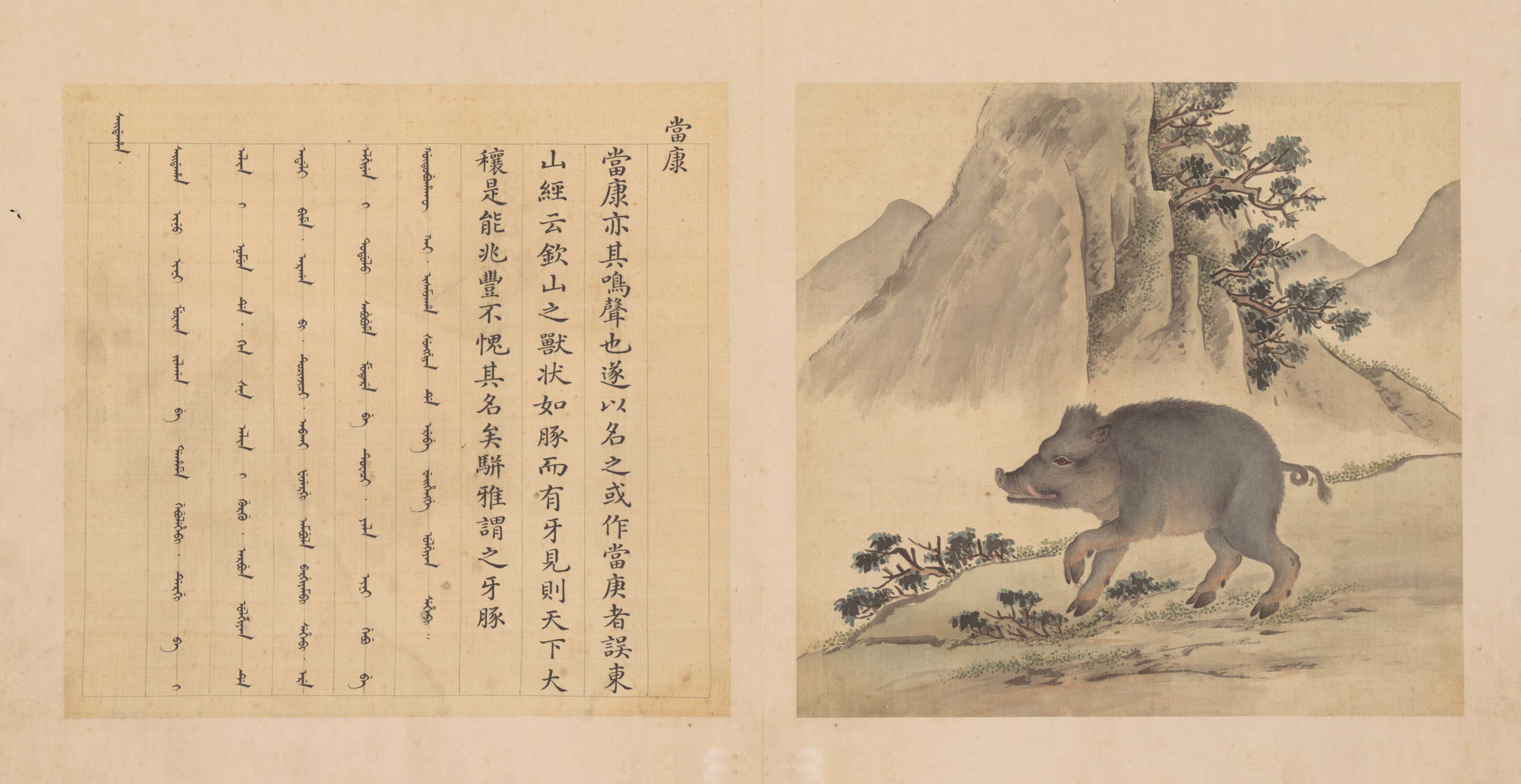 兽谱图册
